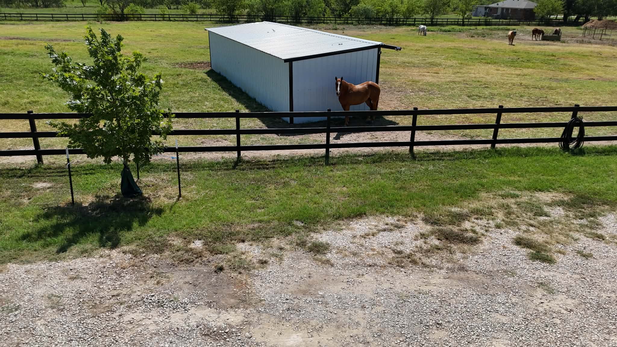 Loading & Loafing Sheds example project concept image